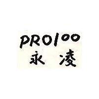永凌 PRO100