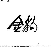 金豹