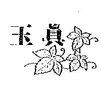 玉真及圖