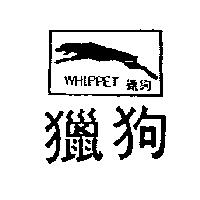 獵狗及圖 WHIPPET