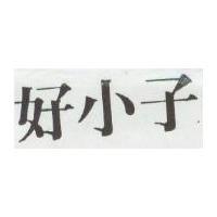 好小子