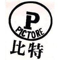 比特 PICTORE