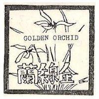 金線蘭 GOLDEN ORCHID