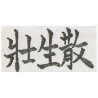 壯生散