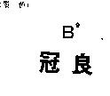 冠良 B9