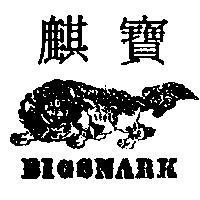 寶麒及圖 BIGSNARK