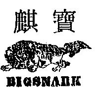 寶麒及圖 BIGSNARK