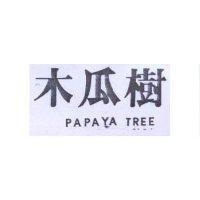 木瓜樹 PAPAYA TREE