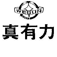 真有力及圖 WESUN