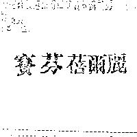 賽芬蓓爾麗