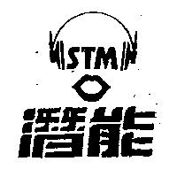 潛能及圖 STM