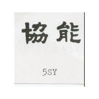 協能 5SY