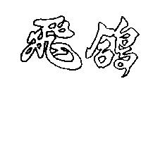 飛鴿