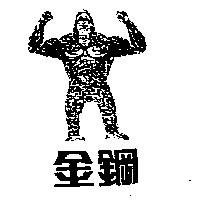 金鋼及圖