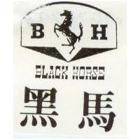 黑馬及圖 BLACK HOURSE