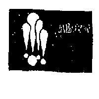 ALCON 字及圖 