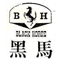 黑馬及圖 BLACK HORSE