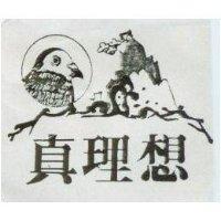 真理想及圖