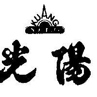 光陽及圖