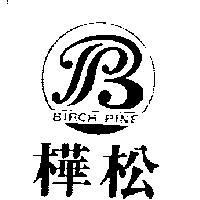 樺松及圖 BIRCH PINE