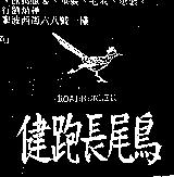 健跑長尾鳥 ROADRUNNER