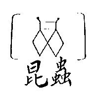 昆蟲及圖