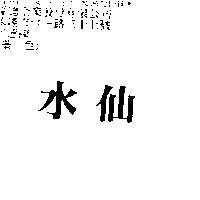 水仙