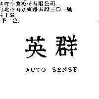 英群 AUTO SENSE