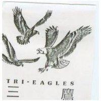 三鷹及圖 TRI – EAGLES