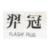 羿冠 FLASHY PLUG