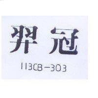 羿冠 113CB – 303