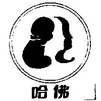 哈佛及圖