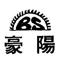 豪陽 BS 及圖 