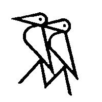 雙鳥圖