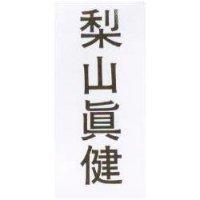 梨山真健
