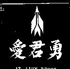 愛君勇及圖 AY JIUN YEONG
