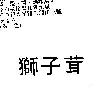 獅子茸