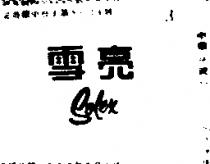 雪亮 SOLEX 