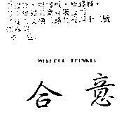 合意 WISHFUL THINKER