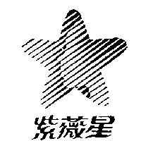 紫薇星及圖