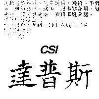 達普斯 CSI