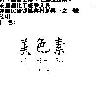 美色素 MEI SEH SU ビシヨクス