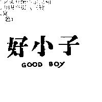 好小子 GOOD BOY