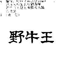 野牛王
