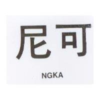 尼可 NGKA