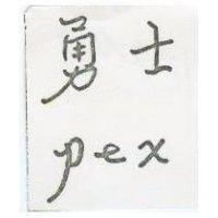 勇士 pex