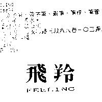 飛羚 FEELING