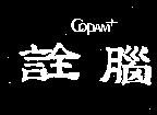 詮腦及圖 COPAM