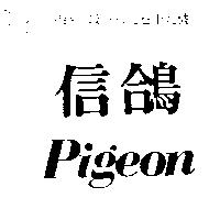 信鴿 Pigeon