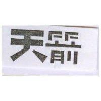 天箭